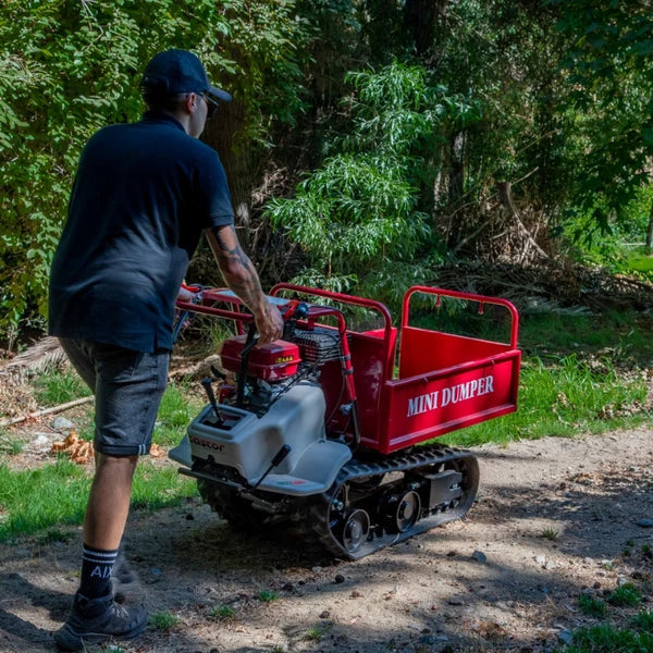 Mini Transportador