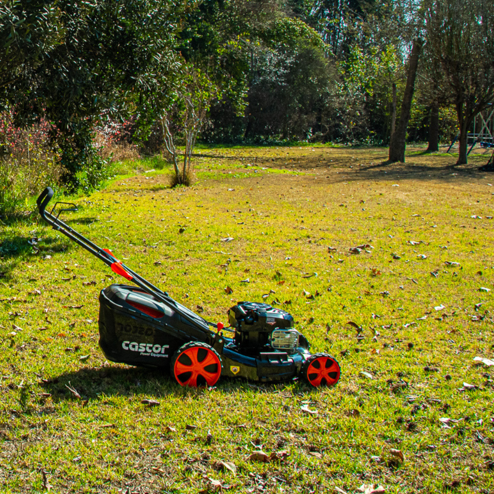 Cortacésped Castor Motor B&S