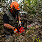Motosierra Castor T-CS598