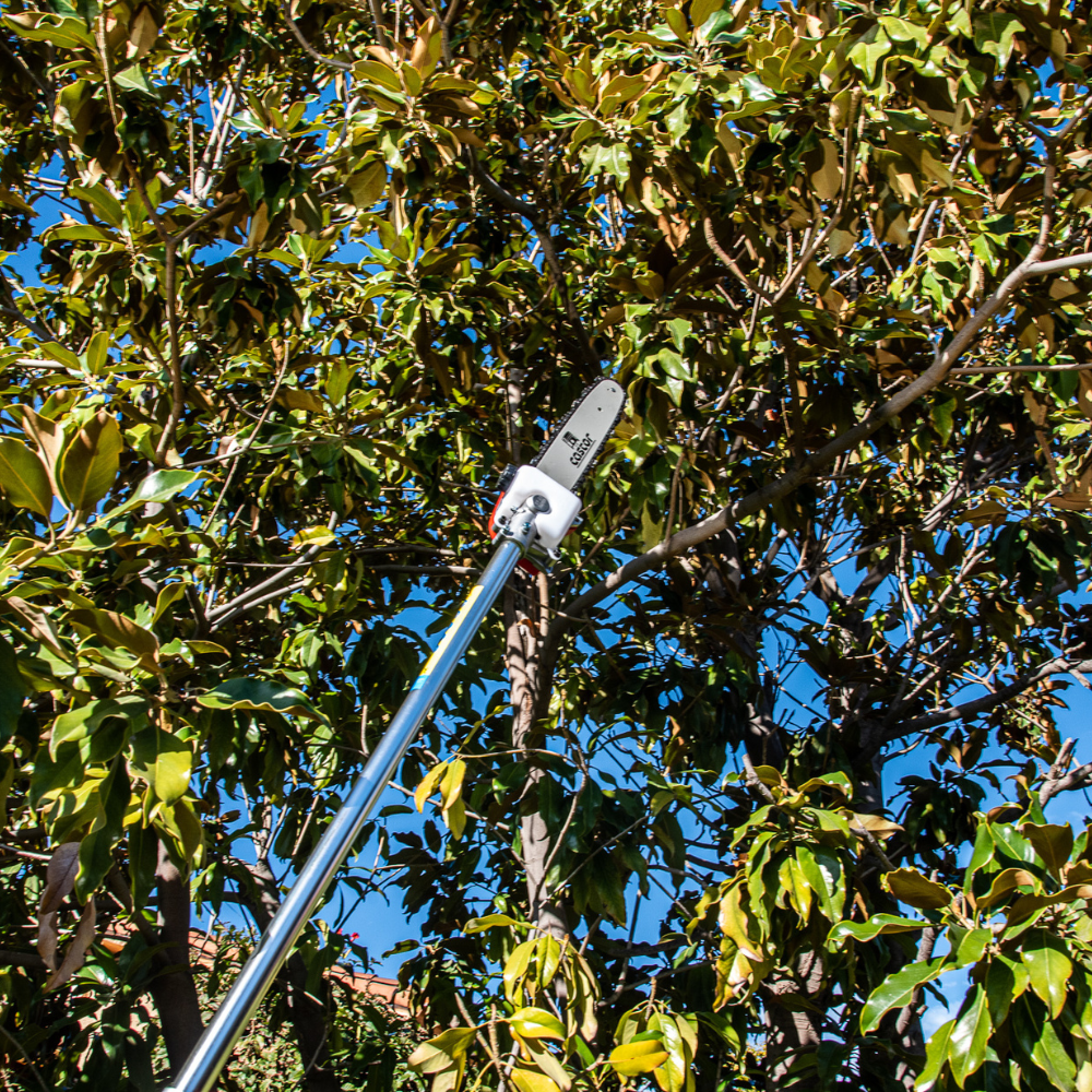 Multifuncional Castor T-M2600
