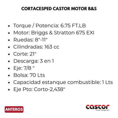 Cortacésped Castor Motor B&S