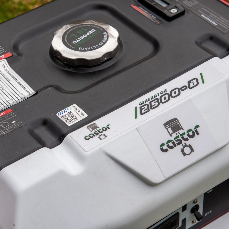 Generador Castor W-2500