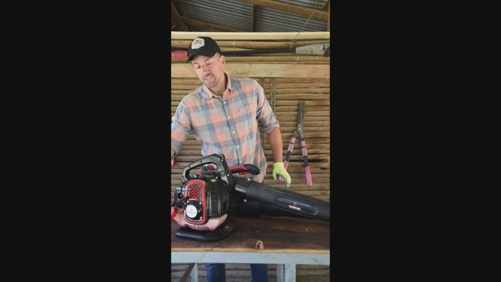Soplador Castor 20V
